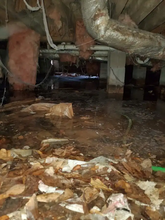 Crawl space flood assessment for Commercial Water Damage Restoration in Friendswood
